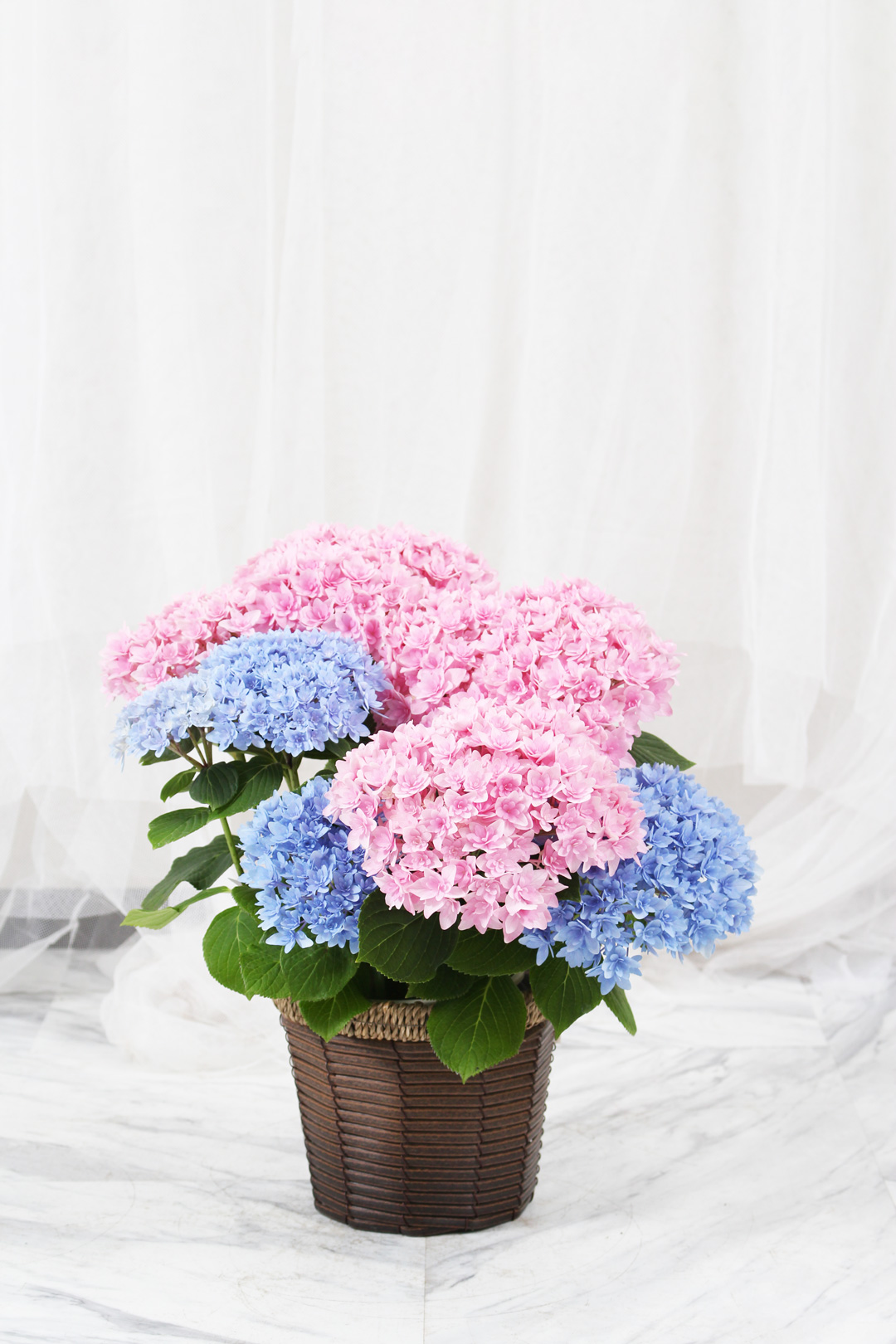 ❤️SALE❤️リメイク鉢 ꔛ‬ꕤ 紫陽花 ブルー&ピンク 2個セット