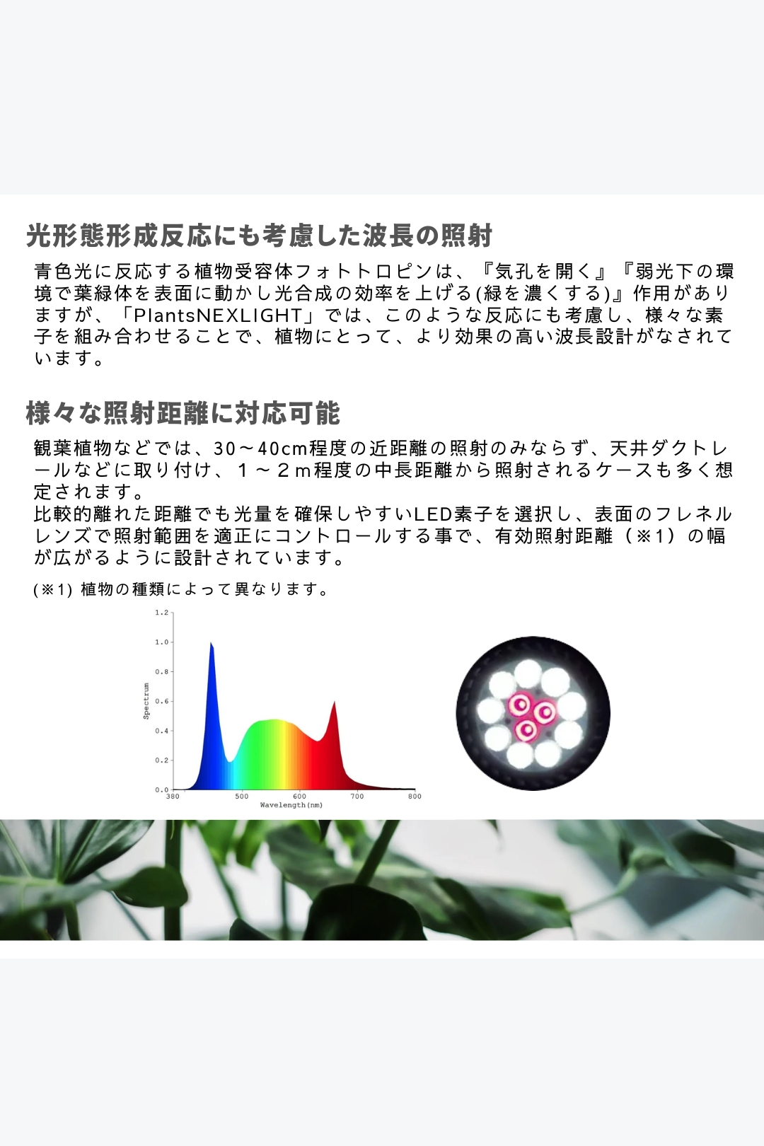 ケアグッズ｜ 植物育成用LEDライト｜PLANTS NEXLIGHT(プランツネクスライト)｜PAR30｜口金 E26型｜ホワイト